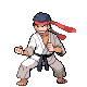 Black Belt trainer sprite from Pokémon Diamond and Pearl.