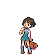 School Kid Female trainer sprite from Pokémon Diamond and Pearl.