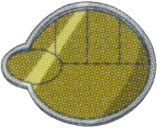 Storm Badge